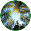 Environment