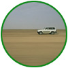 Safari